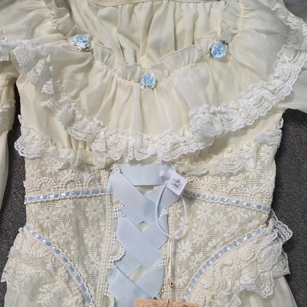 Romantic Off-Shoulder Lace Chemise - Picture 8 of 10